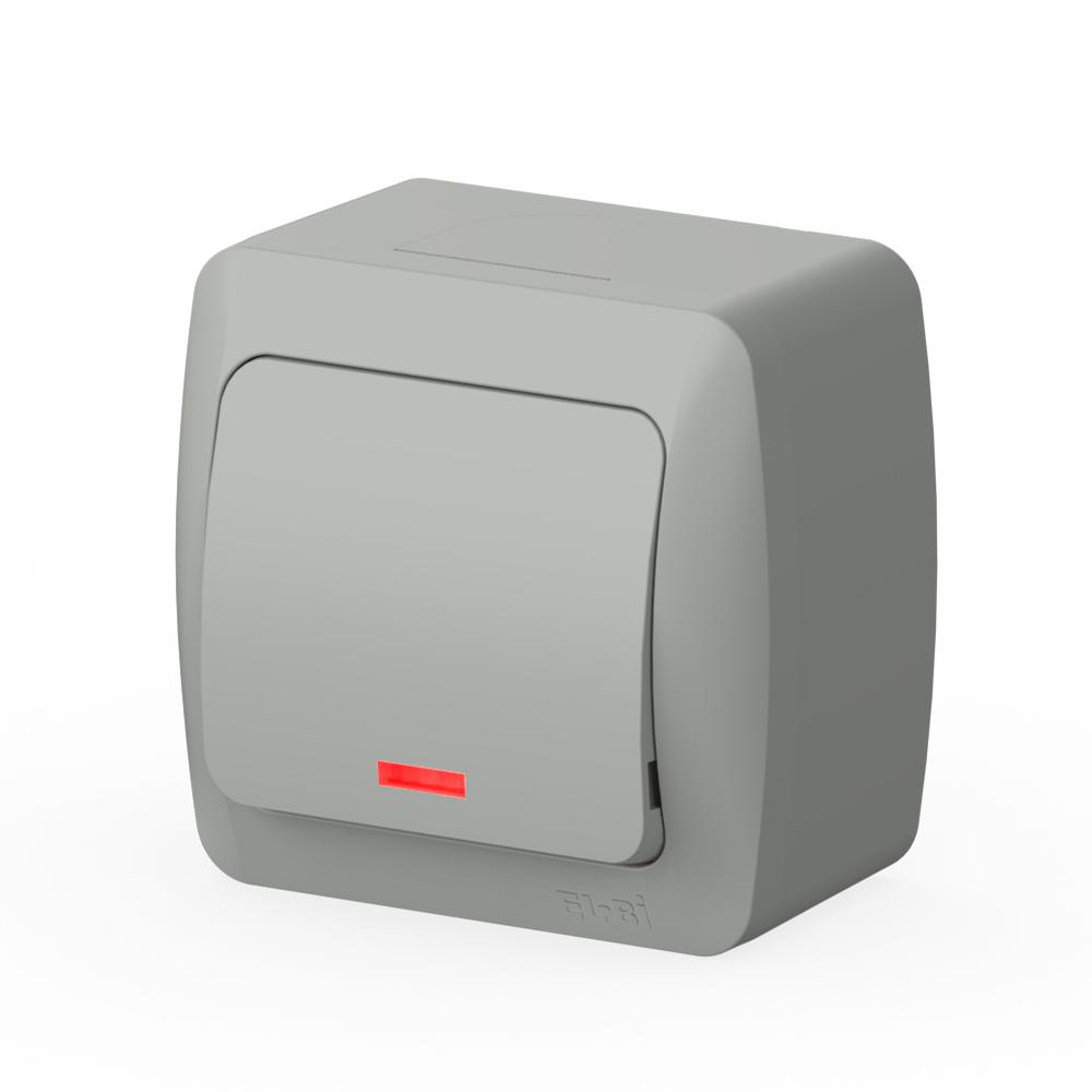 Ein und Ausschalter mit LED Aufputz IP54 Feuchtraum – Grau – EVA